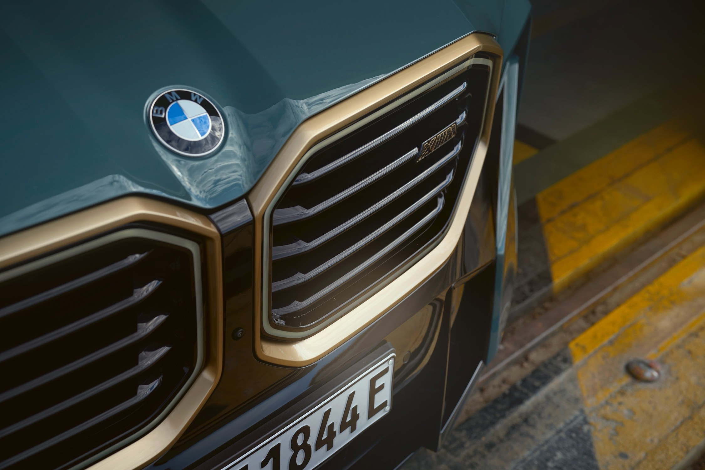 mat-truoc-bmw-x-1.jpg